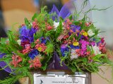 CursuriFestive_3 053.jpg
